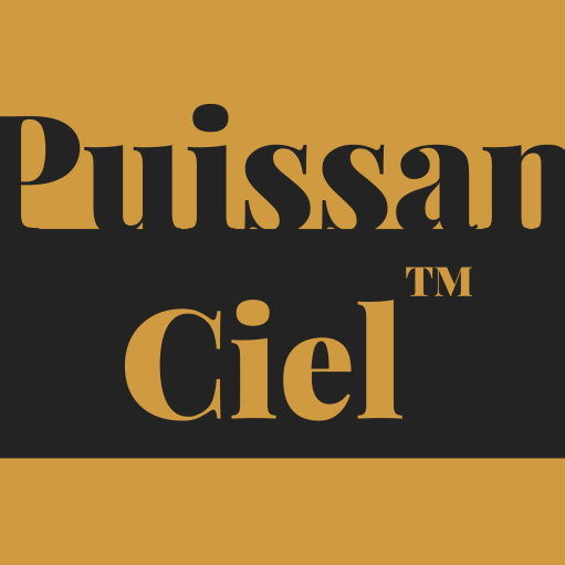 Puissanciel – Mentorat en Structuration de Carrière Multipassionnée & Influence Durable